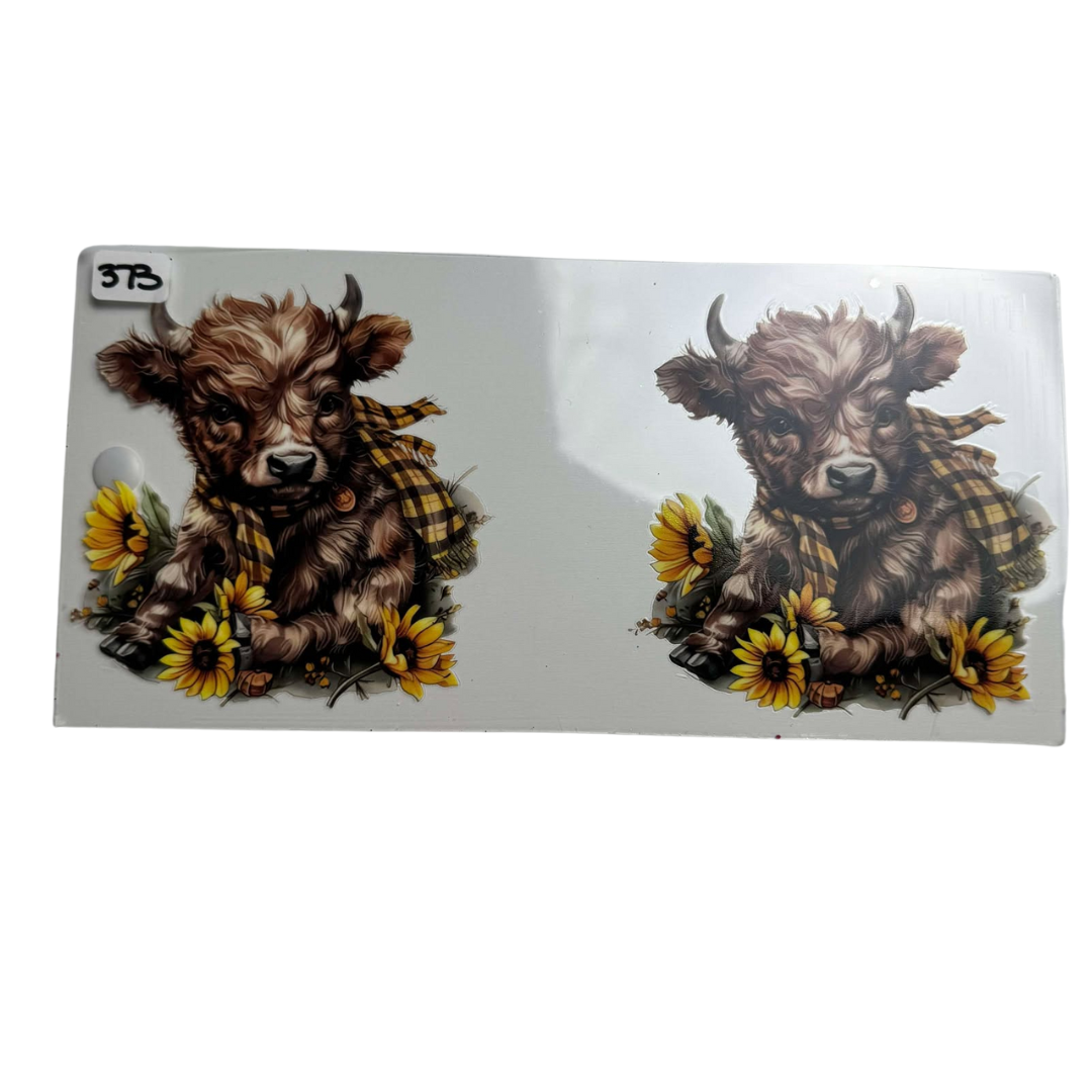 #373