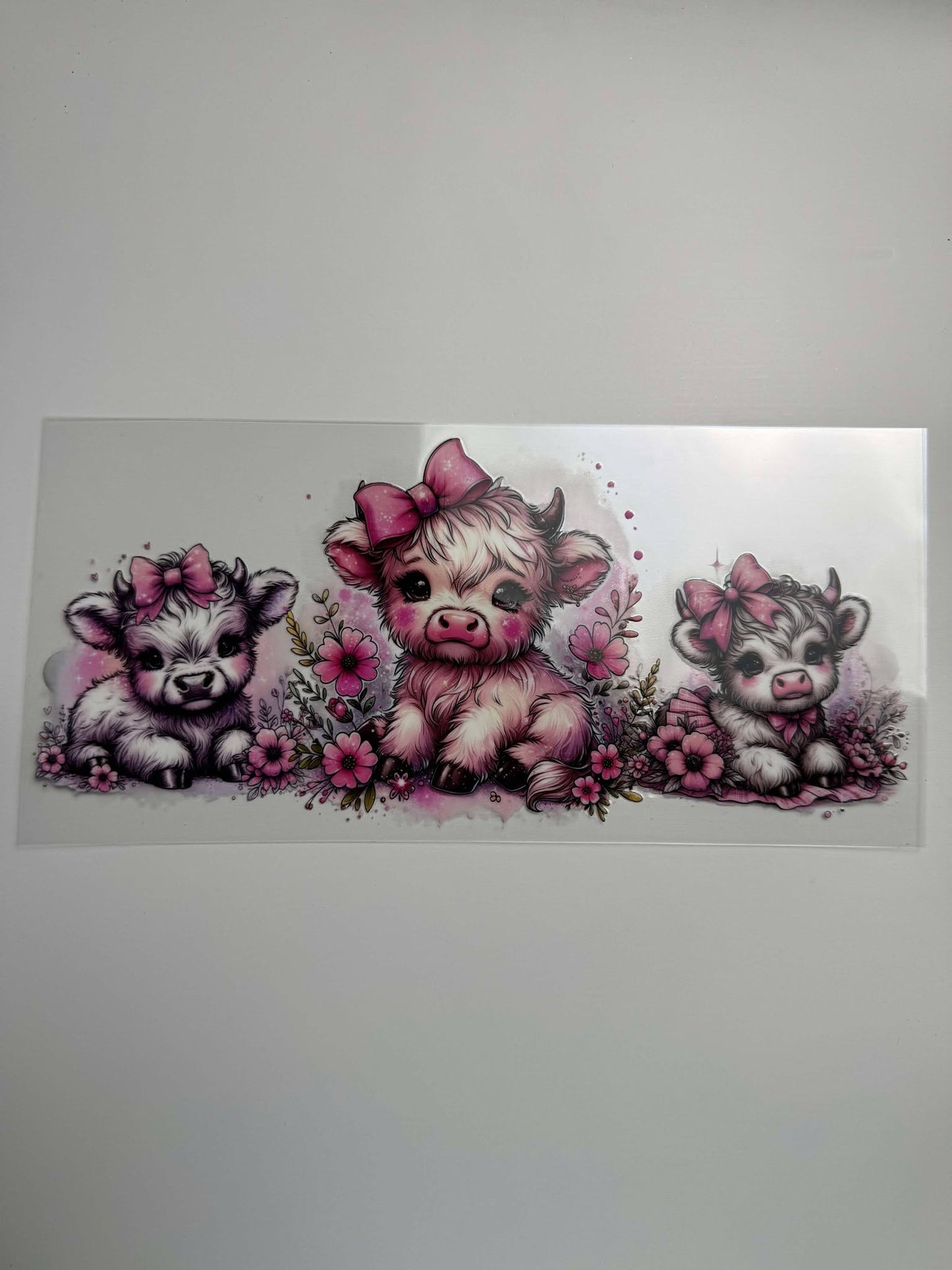 #509