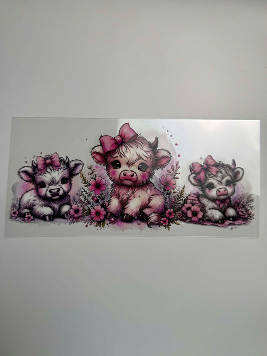 #509