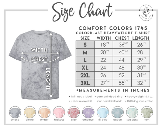 LIVE - Comfort Colors Colorblast T-SHIRT